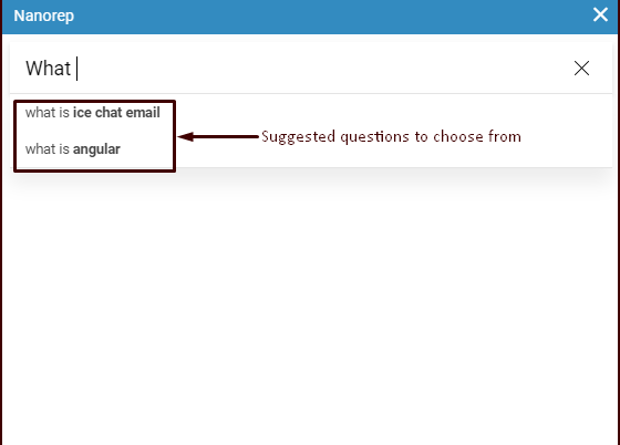 Email Nanorep window 2